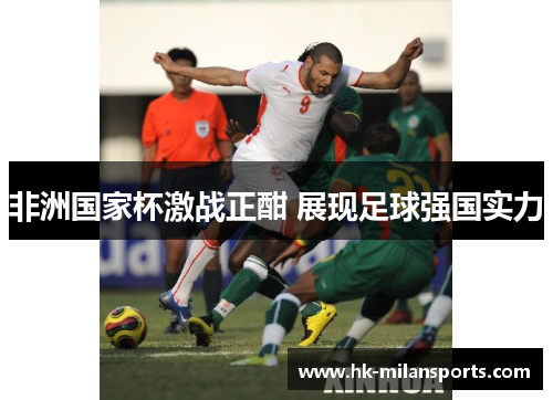 非洲国家杯激战正酣 展现足球强国实力 非洲国家杯激战正酣 展现足球强国实力